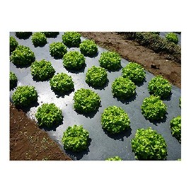 Grower's Solution Black Plastic Mulch 4ft. X 100ft. 1.0 Mil Embossed