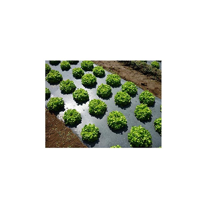 Grower's Solution Black Plastic Mulch 4ft. X 100ft. 1.0 Mil