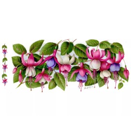 Captive Decals Fuchsia Flower Wrap Wraparound 7 1/2" X 3 1/2" Overglaze Waterslide Ceramic Deca