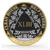 MYRECOVERYSTORE Silver & Gold 1-60 Years Alcoholics Anonymous Medallion AA