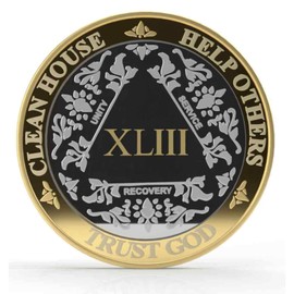 MYRECOVERYSTORE Silver & Gold 1-60 Years Alcoholics Anonymous Medallion AA Coin Capsule Included