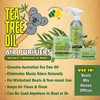 Star brite 96504 Tea Tree Gel - 4 oz.