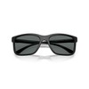 ARNETTE Sunglasses AN 4359 290081 Black Matte/Shiny/Dark Grey Polar Policarbon