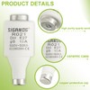 SIGANDG 10A DII E27 R021 Spiral Ceramic Fuses gG Diazed