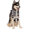 Rubies Skeleton Pet Bandana for Dogs or Cats, M/L