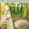 Esponja Natural de Lufa Ecológica para Platos y Cocina (5