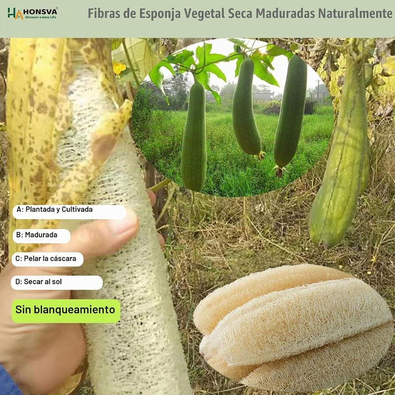 Esponja Natural de Lufa Ecológica para Platos y Cocina (5