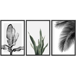 SIGNWIN Framed Canvas Print Wall Art Trio of Jungle Palms & Snake Succulents Floral Plants Photography Modern Art Minimalist Black and White for Living Room, Bedroom, Office - 16"x24"x3 Black