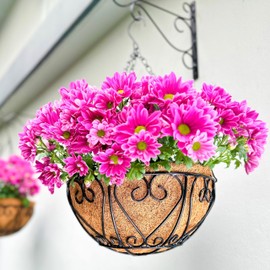 LaLaGreen Hanging Baskets for Plants (2 Pack, 12 Inch) Hanging Flower Pots with Coco Liner, Black Metal Wire Round Basket Plant Holder with Hanger Hook Chain, Outdoor Patio Deck Balcony Garden Décor