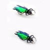 YAZHIDA Fly Fishing Flies, Simulated Insects (Winged Beetle)