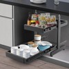 2-Tier Pull Out Cabinet Organizer, Pull out Drawers for Cabinets,