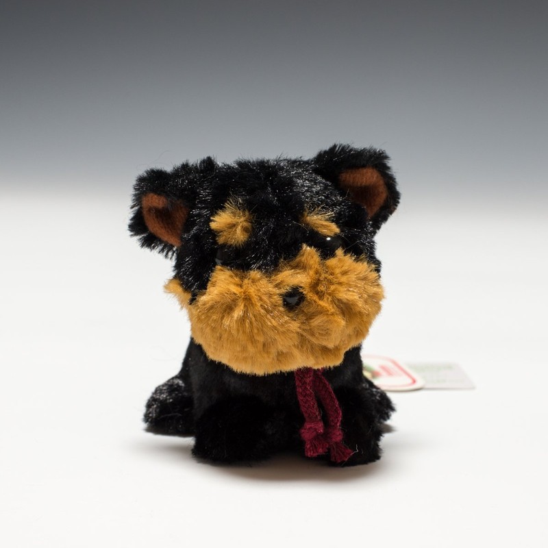 Candy Fontaine Yorkshire Terrier