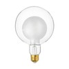 FLSNT G125 Decorative Dimmable Globe LED Edison Bulbs, 2700K Soft