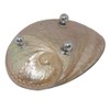 Freak Scene Jewellery Bowl - Seashell - silver - small