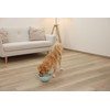 Kerbl Pet Dog Bowl Diameter 20.5 cm Turquoise