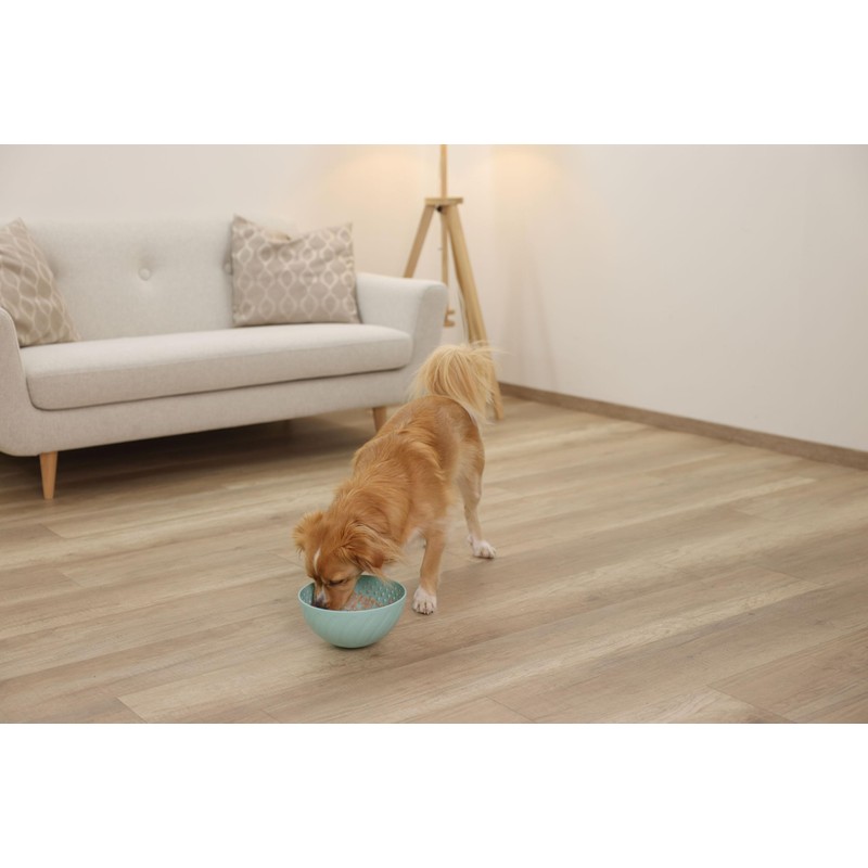 Kerbl Pet Dog Bowl Diameter 20.5 cm Turquoise