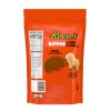 Reese's Milk Chocolate Peanut Butter Dipped Animal Crackers, 2 x