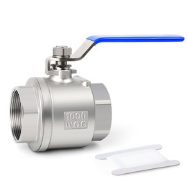 TAISHER 1 PCS 1 Inch FBSP Heavy Duty Full Porat Ball Valve 304 Stainless Steel with Blue Handles