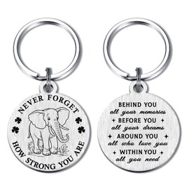 Alotozo Elephant Gifts for Women Men - Inspirational Elephant Keyring Small Encouragement Gifts - Uplifting Graduation Birthday Gift Elephants Key Chains