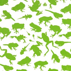 染の安坊 Anbo Tenugui Hand Towel, Frog!, 100% Cotton, Made in Japan, 13.8 x 39.4 inches