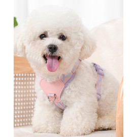 Petank Purple Medium Dog Harness for Medium Dogs, No Pull Dog Harness With 2 Leash Clips, Easy Walk Dog Harness Medium Sized Dog, Puppy Harness for Medium Dogs, Adjustable Dog Vest Harness (Purple, M)