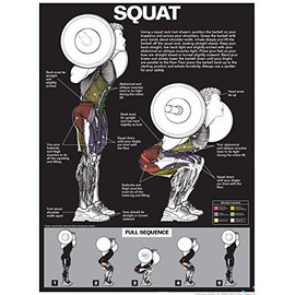 Fitnus Chart Series Squat Workout Laminated Poster (Black/Dark Grey, 18" x 24")