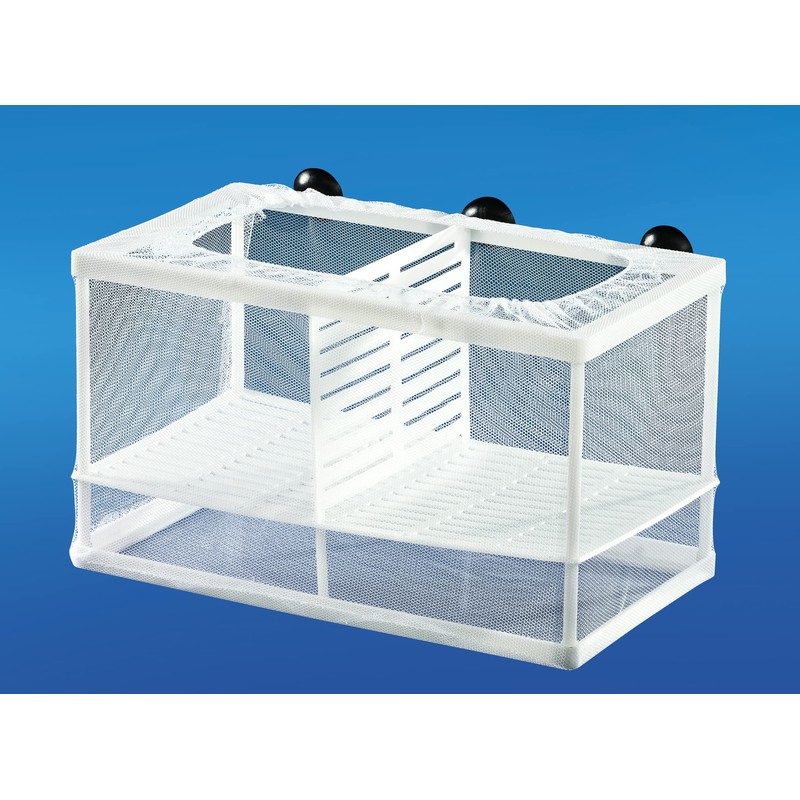 Aquaparts Netbox L Breeding Tank Quarantine Container Quarantine Tank Breeding