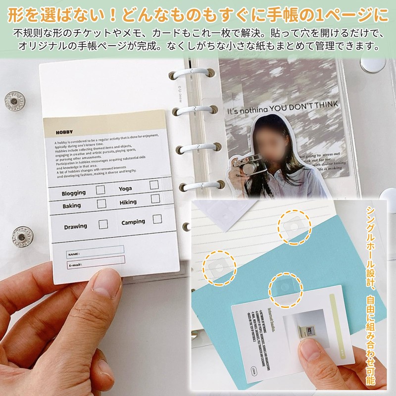 aninako Filing (10 Sheets)