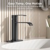 FORIOUS Black Bathroom Faucet 1 Hole, Single Handle Matte Black