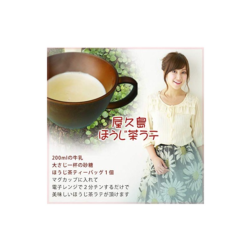 Organic Yakushima Roasted Tea (Tea Bags) [Mf1/3]