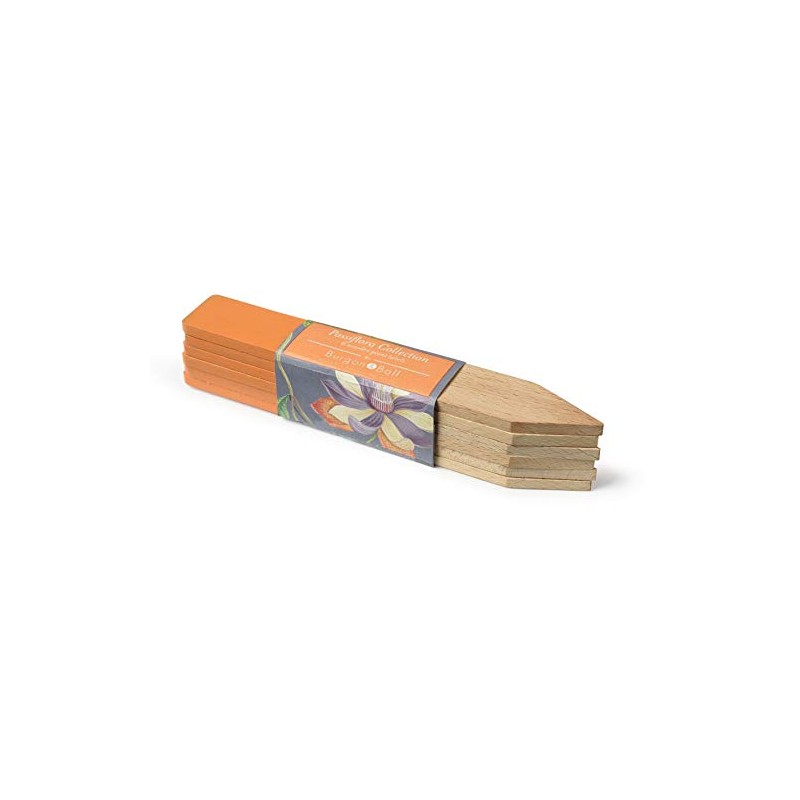 NEW Passiflora Wooden Plant Labels