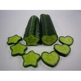 Kaneko Seedling Cucumber Shape, Deco Cucumber Heart, Pack of 1