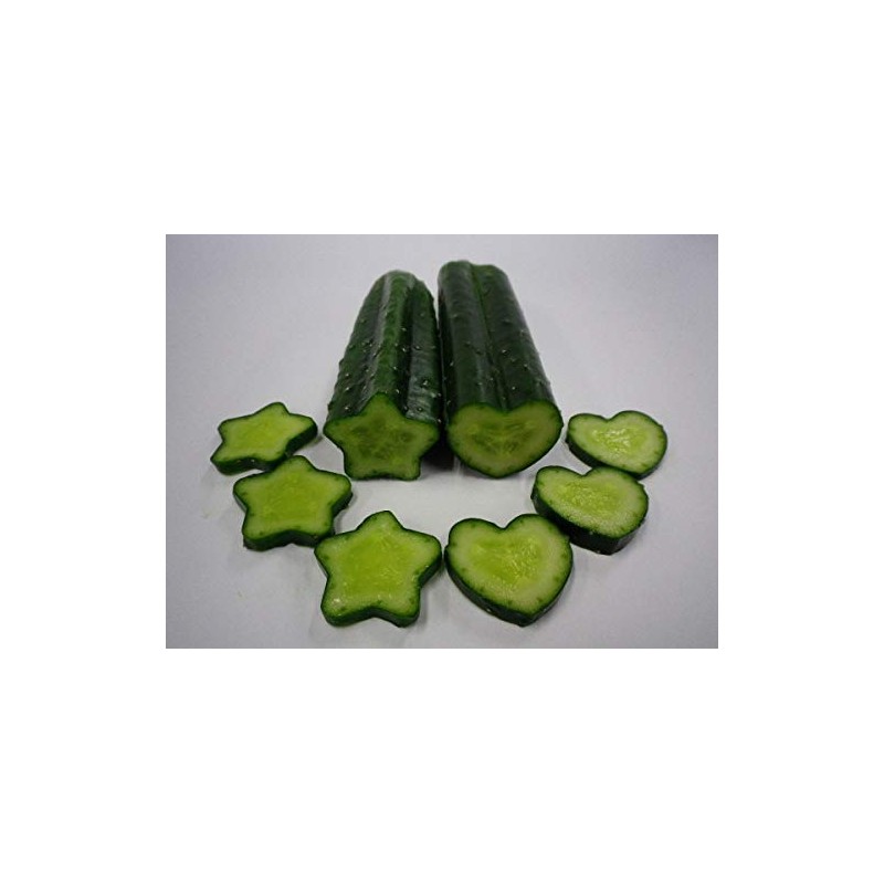 Kaneko Seedling Cucumber Shape, Deco Cucumber Heart, Pack of 1