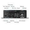 Mini Bluetooth 5.0 Digital Amplifier - Stereo Home and Car