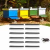 12Pcs Beehive Plastic Beetle Insect Trap Catch Box Tool Beekeeping