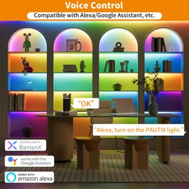 PAUTIX Wi-Fi+Bluetooth Music Pixel LED Smart Controller Kit SP548E,Compatible with Alexa/Google Assistant,App Control RF Remote Control,Addressable Color LED Strip Pixels Light DC5V-24V