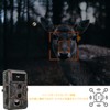 Blazevideo Trail Camera, 1296P Motion Sensor, Security Camera, Wildlife Surveillance