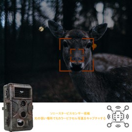 Blazevideo Trail Camera, 1296P Motion Sensor, Security Camera, Wildlife Surveillance Camera, Night Vision Camera, 5-20m Distance, 120° Shooting Range, 48 Megapixels, 0.1s Trigger, IP66 Waterproof,