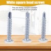 White Square Head Self Tapping Screws RV Trailer 8 X