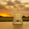 Sign - Employee Of The Month 5" Star