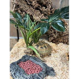 Komodo Komodo Complete Holistic Tortoise Diet, Dandelion 680 g tub