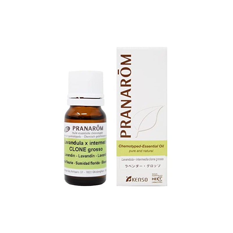 Pranalom Lavender Grosso 0.3 fl oz (10 ml) PRANAROM Chemo
