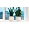 ILUVUMOREI Oval 2 Pack of 18 by 6.5 Inches Clear
