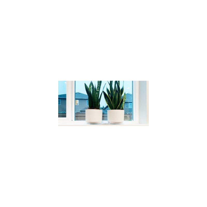 ILUVUMOREI Oval 2 Pack of 18 by 6.5 Inches Clear
