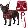 AMTOR Small Dog Harness with Leash Set, No Escape Easy