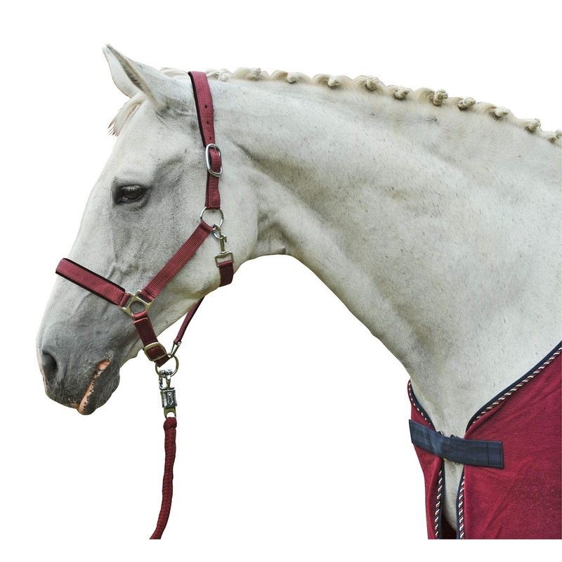 Hkm 558615 Rope Stars with Panic Hook, Black, 180 cm