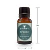 Best of Nature 100% Pure Spruce Essential Oil (0.5 oz)