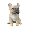 Vivid Arts Small French Bulldog