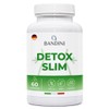 Detox Slim 60 Capsules - Bandini Pharma - Made in