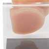 Silicone Ear Model Simulated Ear Model Acupuncture Practice Tool with